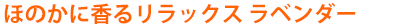 緑の魔女バス泡タイプ